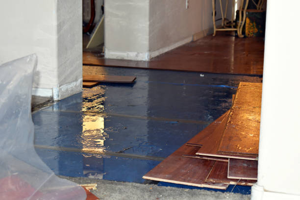 Professional Emergency Water Damage Restoration technician working in Wellsburg, WV